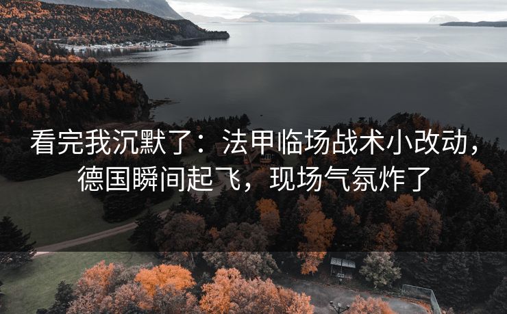 看完我沉默了：法甲临场战术小改动，德国瞬间起飞，现场气氛炸了