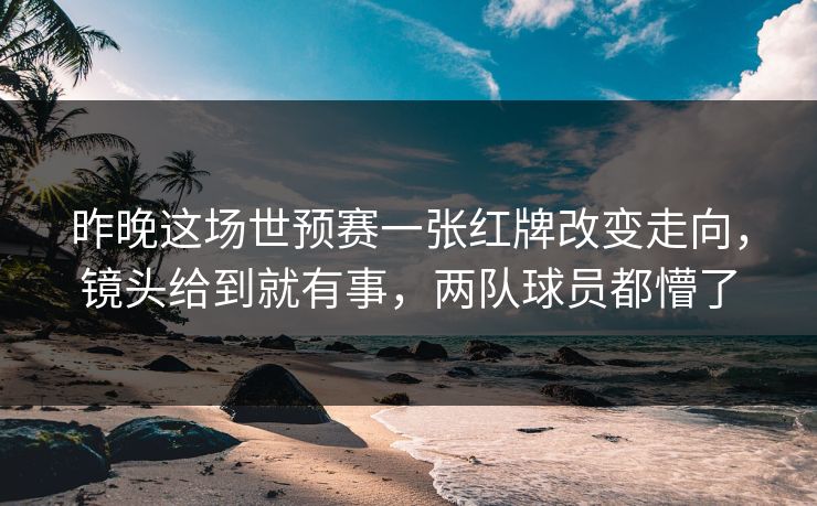 昨晚这场世预赛一张红牌改变走向，镜头给到就有事，两队球员都懵了