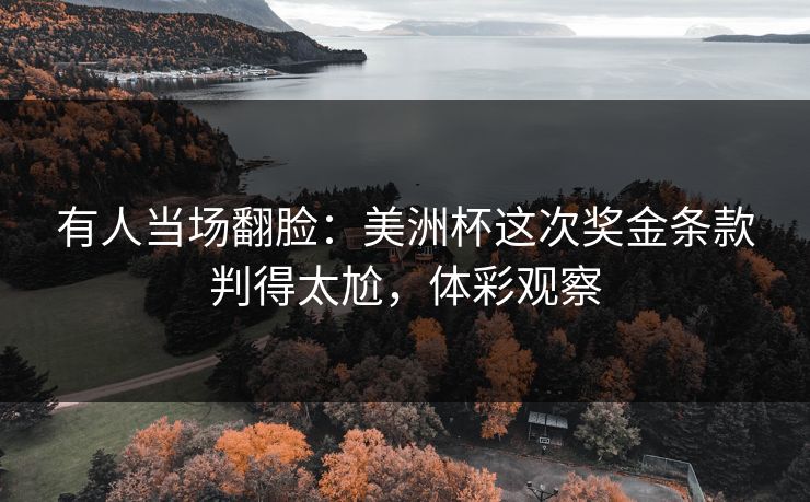 有人当场翻脸：美洲杯这次奖金条款判得太尬，体彩观察