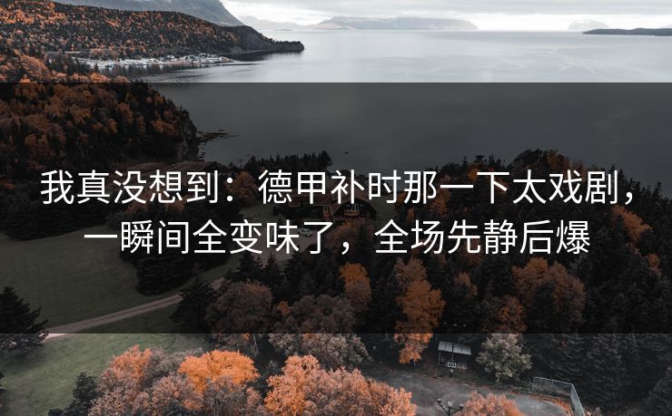 我真没想到：德甲补时那一下太戏剧，一瞬间全变味了，全场先静后爆